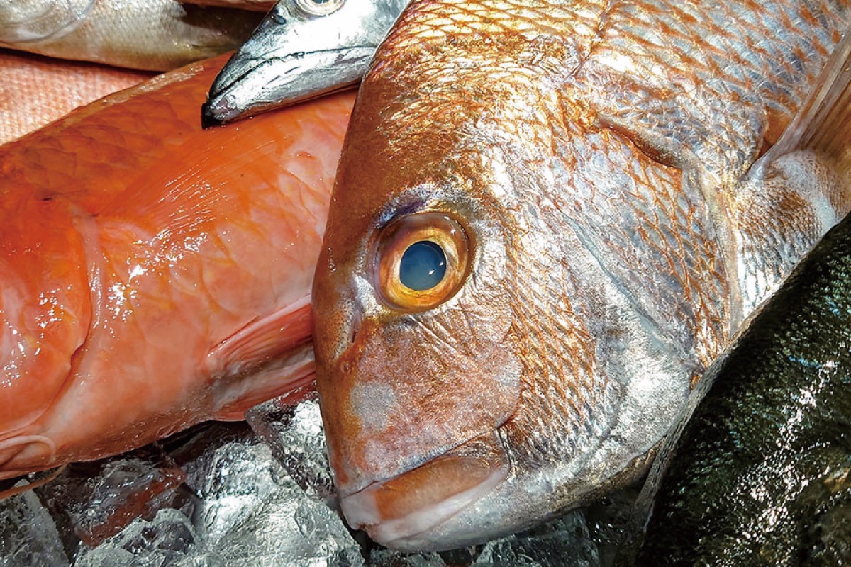 魚和水産が扱う鮮魚の盛り合わせ