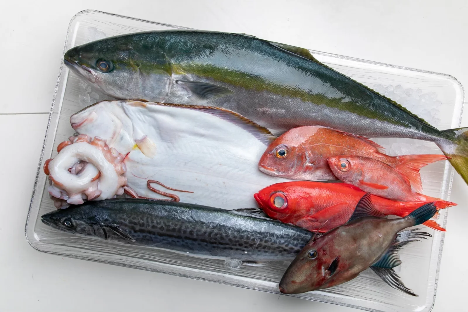 魚和水産で扱う旬の丸魚